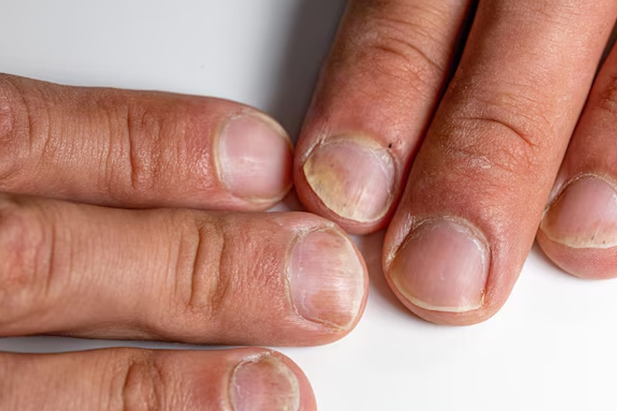 1 - 2025-06-02T141810.567