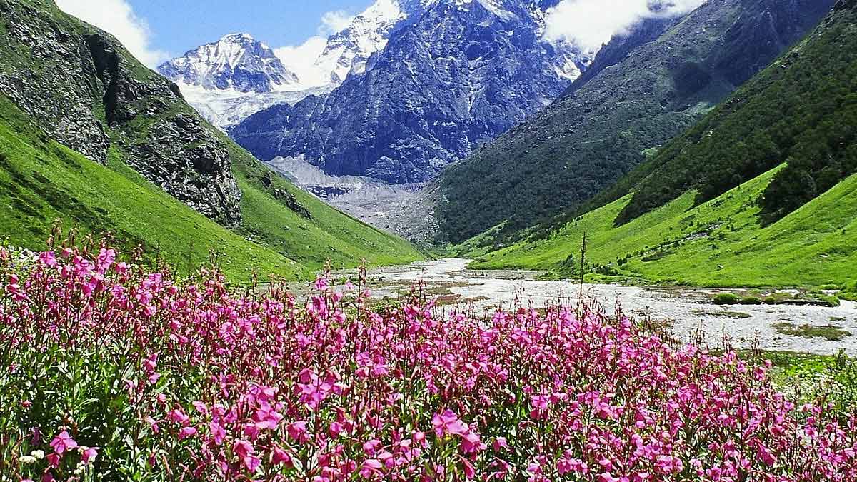 Flowers Valley Registration22