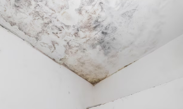 Monsoon home care tips