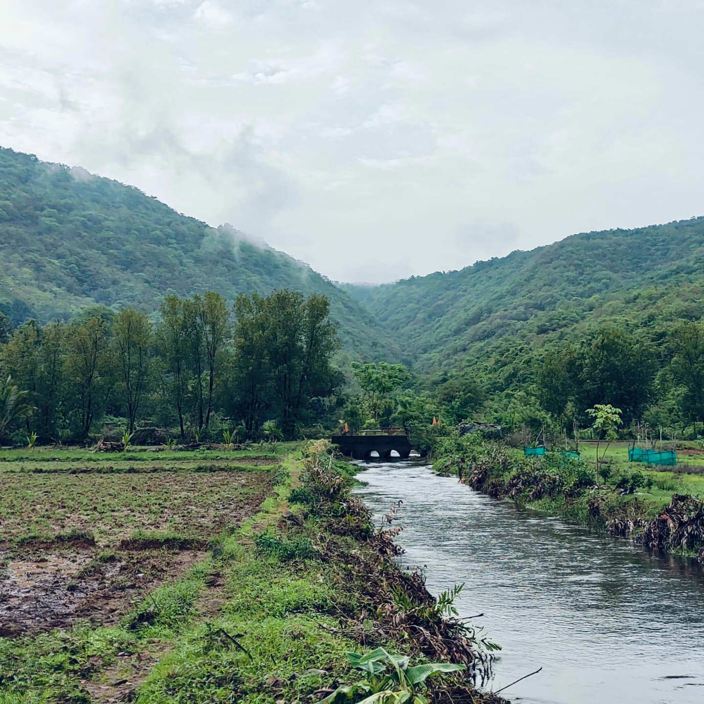 Why Dapoli Is Famous