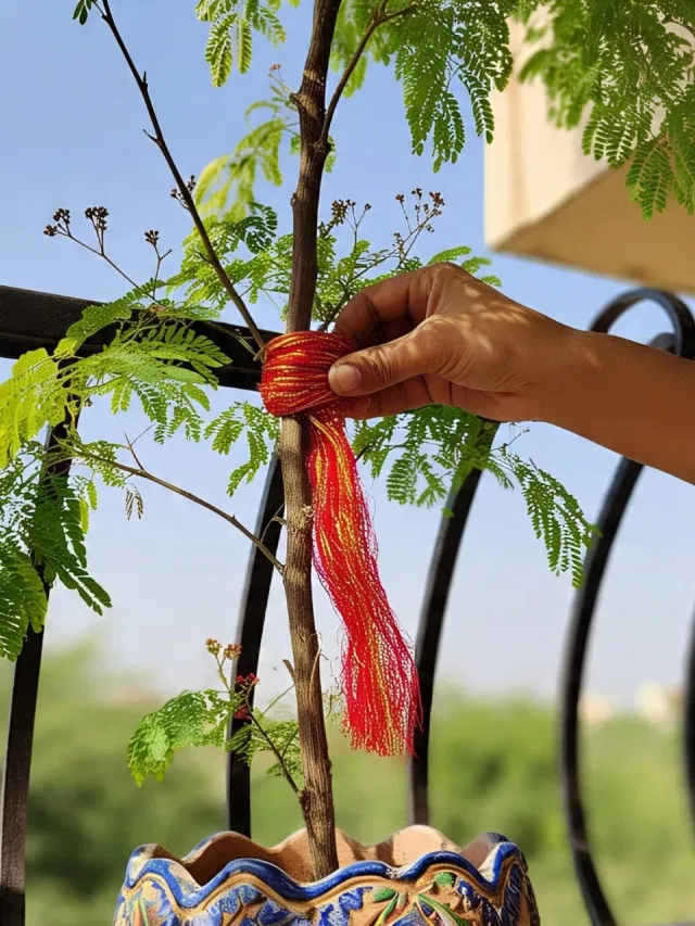 shami-ke-ped-par-kalava-bandhne-ke-fayde