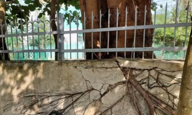 Screenshot 2025-06-05 230004