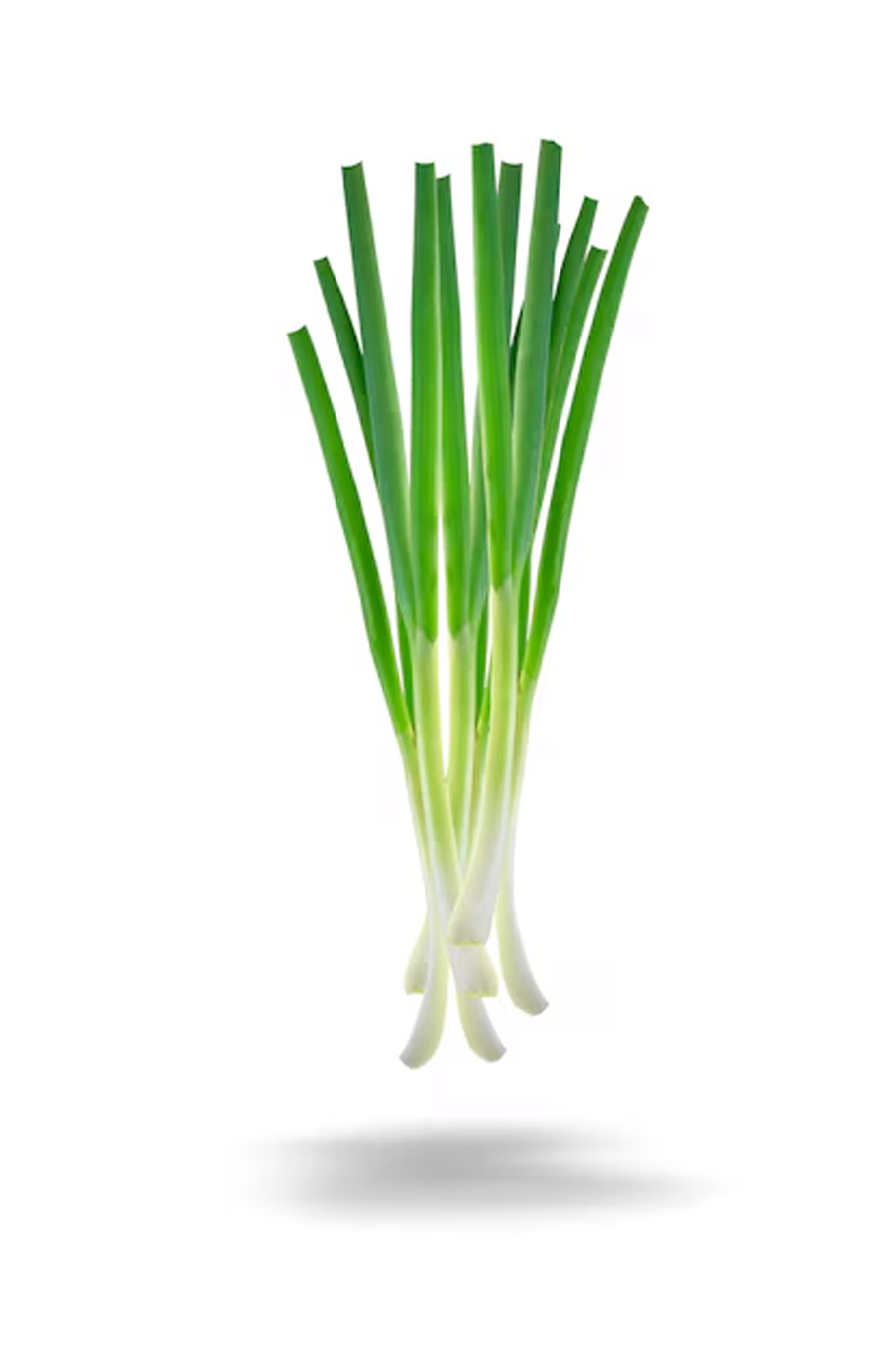 green onion