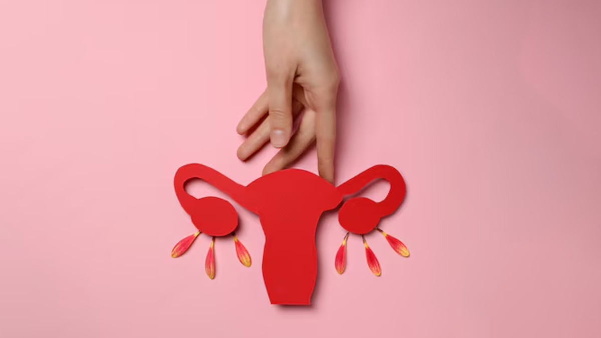 pcod hormone balancing tea