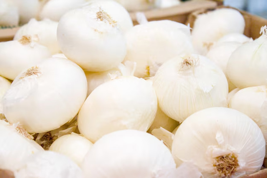 white onion
