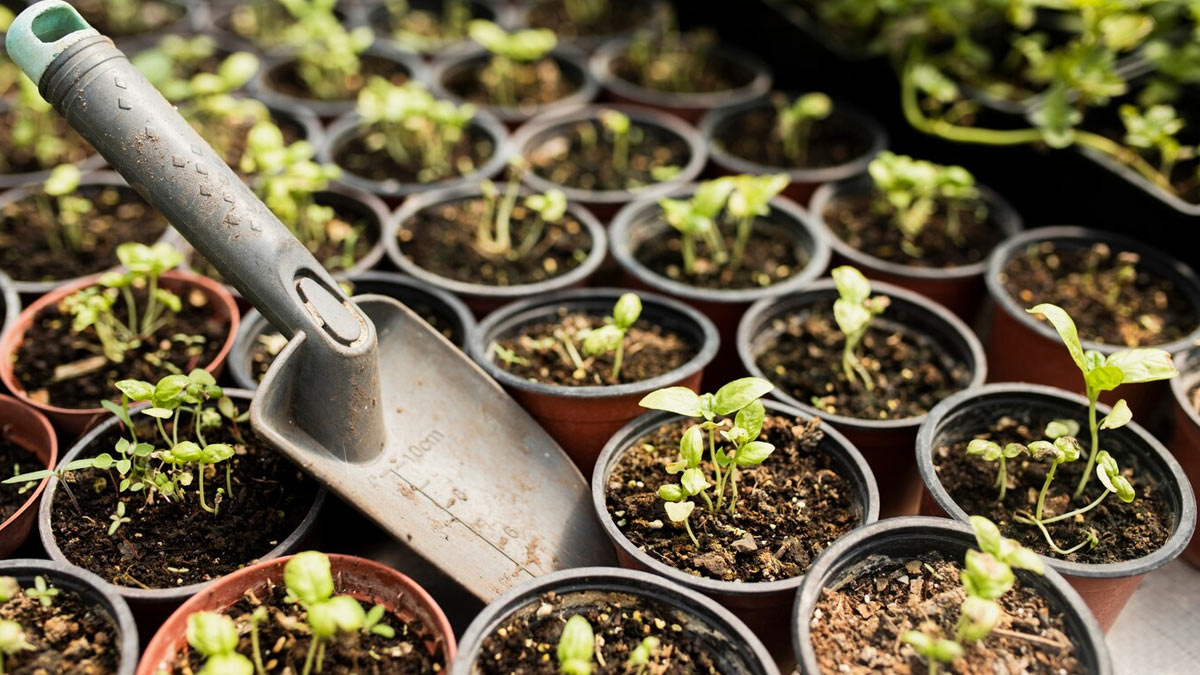 how to reuse empty shampoo bottles in the gardenss