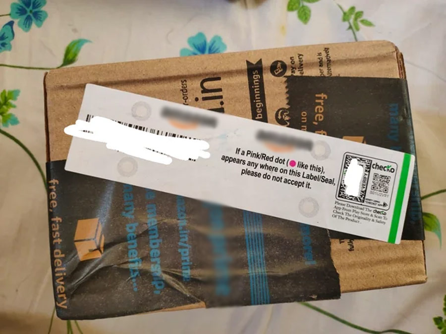 secure parcel delivery system