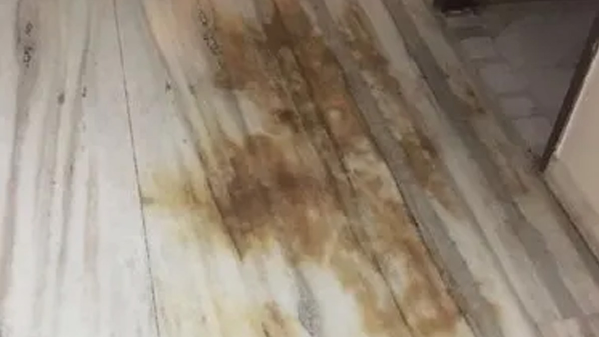 floor cleaning with kitchen ingredients