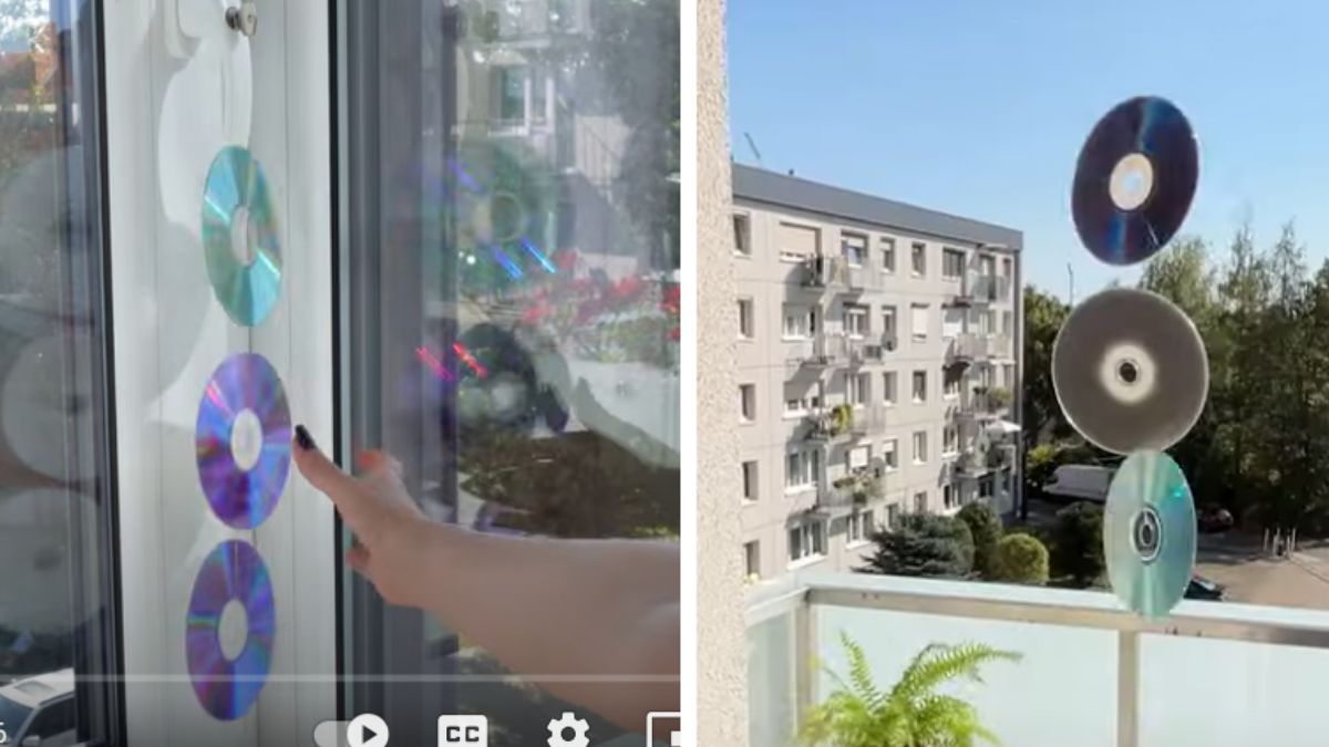 why are people hanging old cds on the window