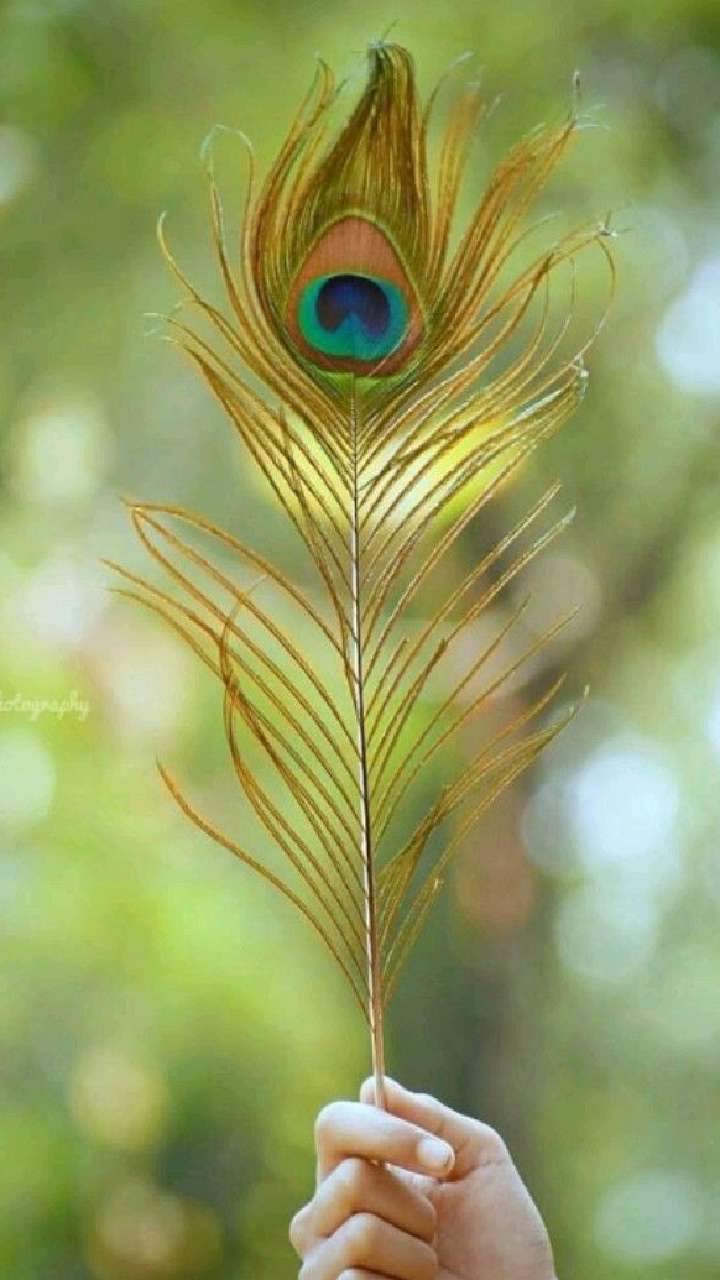 How to get desired job astrology