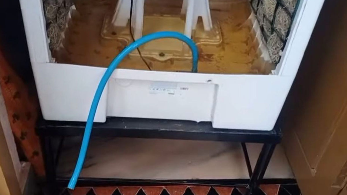 cooler cleaning tips