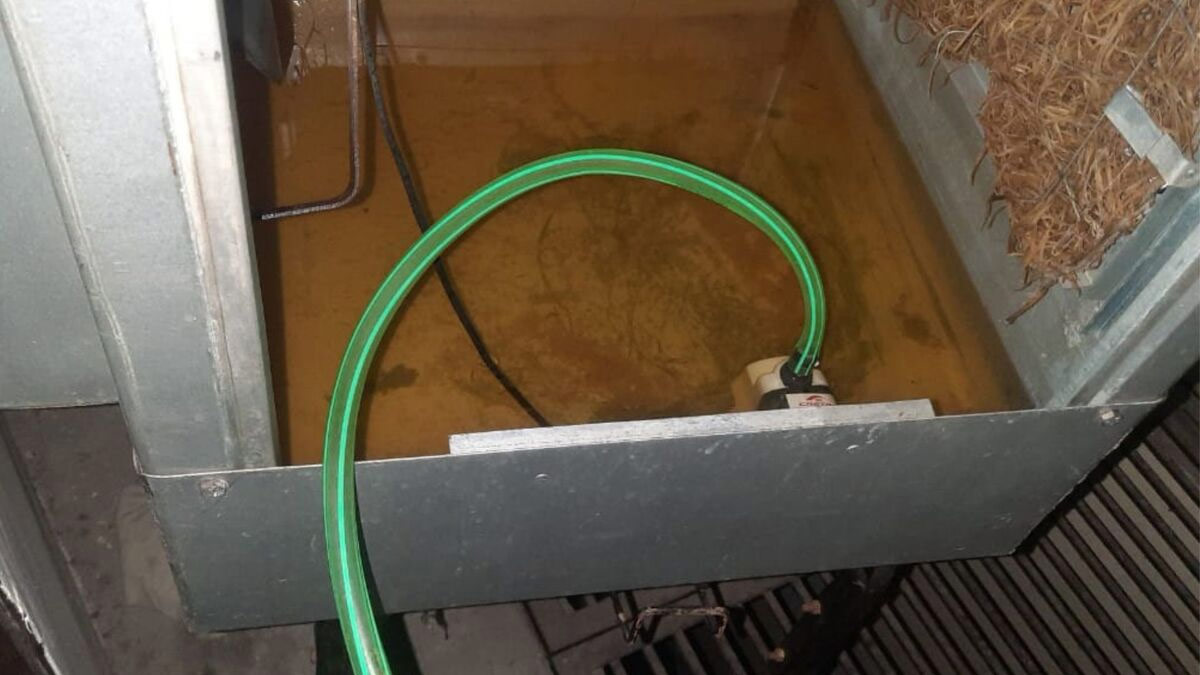 when you should change cooler water