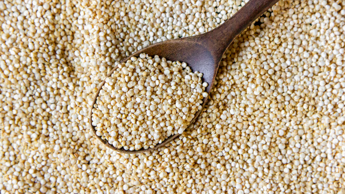 Amaranth rich in calcium