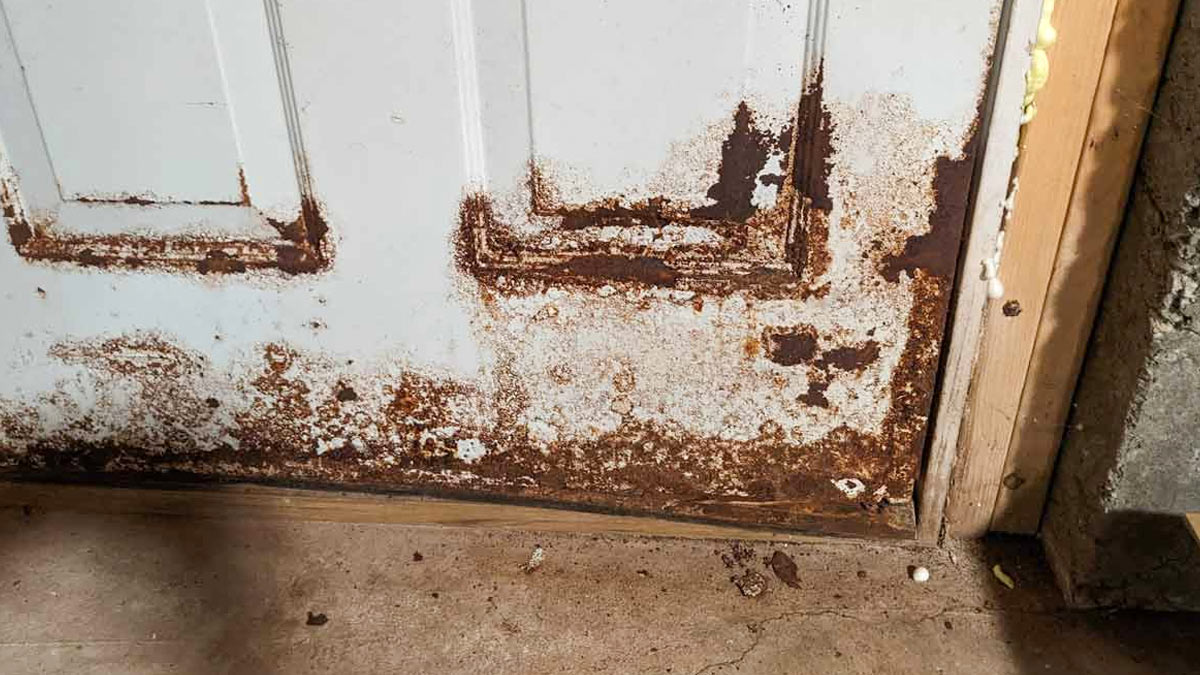 How to protect bathroom doors with termites