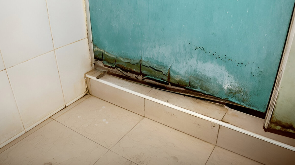 Termite prevention for doors