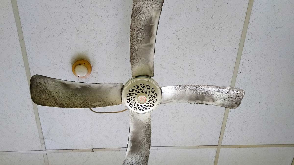 magical trick to clean ceiling fan