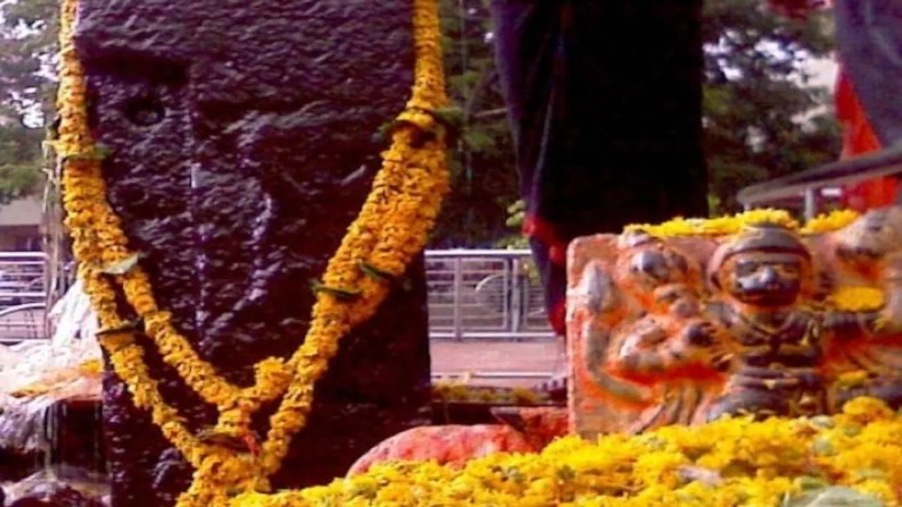 shanidev_146501656717_650_060416103324