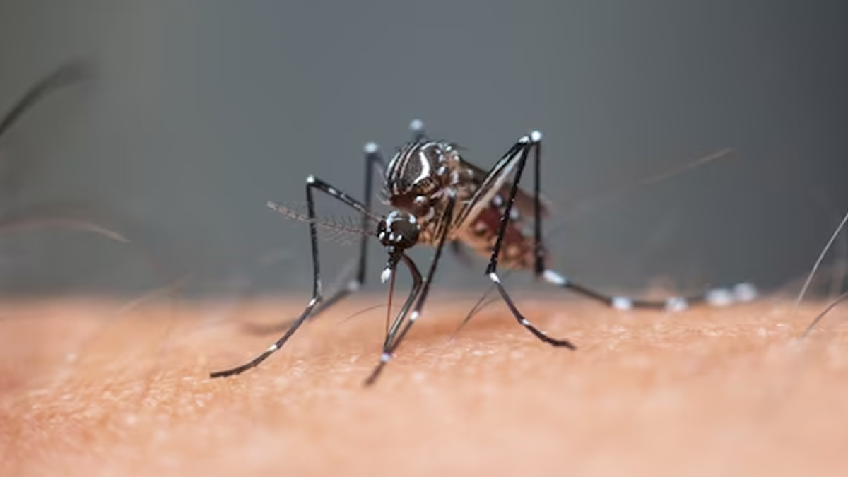 what are the requirements