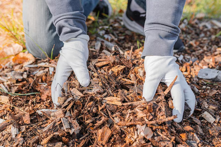 Benefits of mulching
