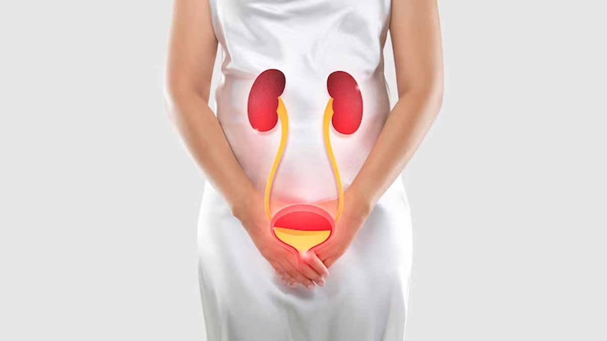 painful urine infeaction