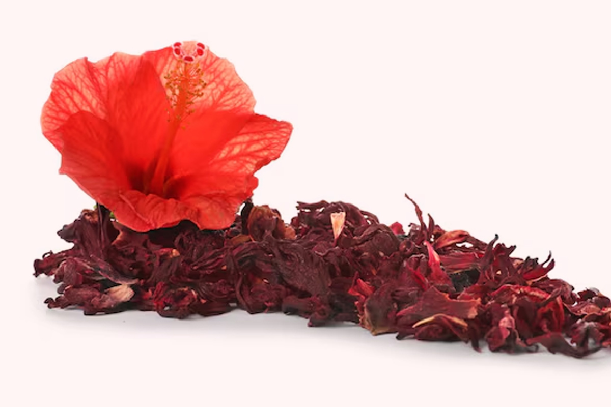 hibicus flower powder for hair