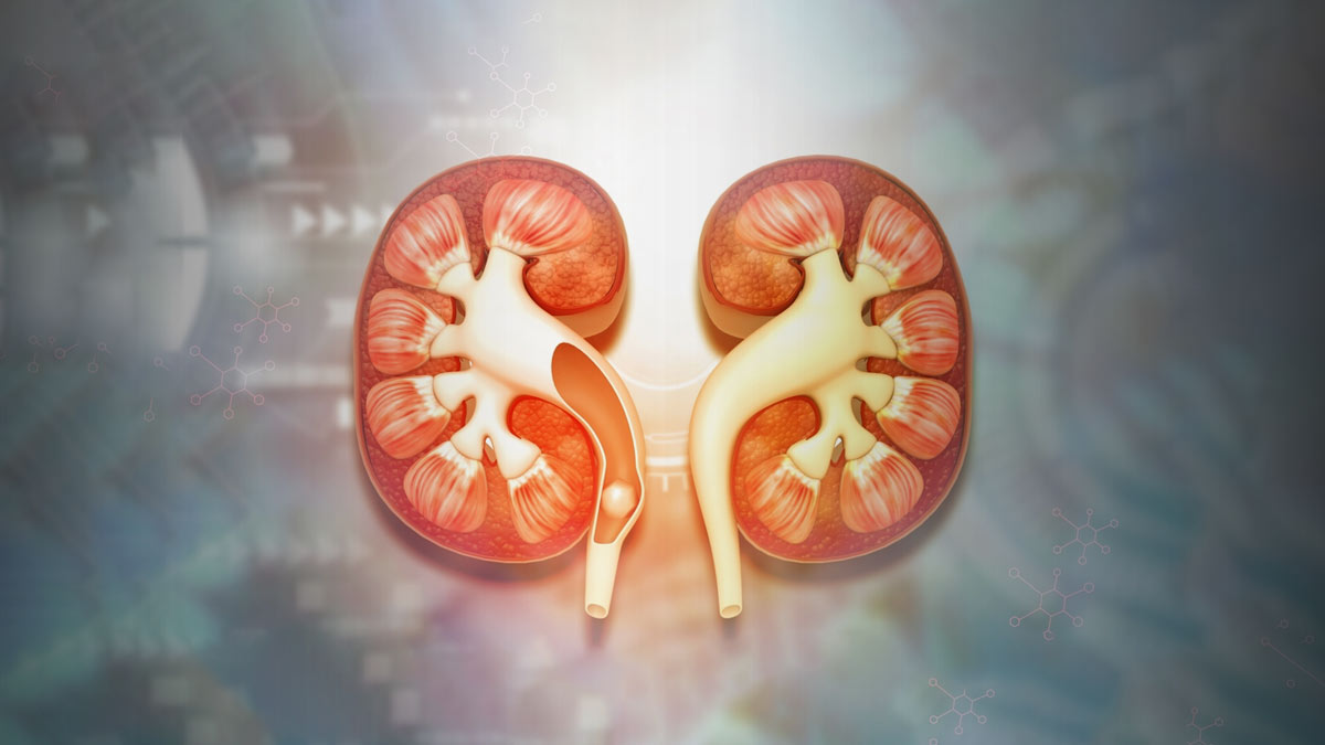 kidney health symptoms