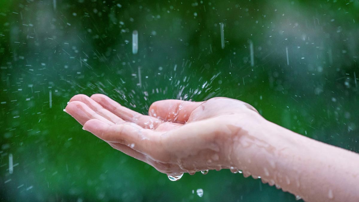 rainwater remedies for money