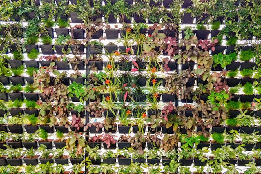 reuse broken plastic chair (3)