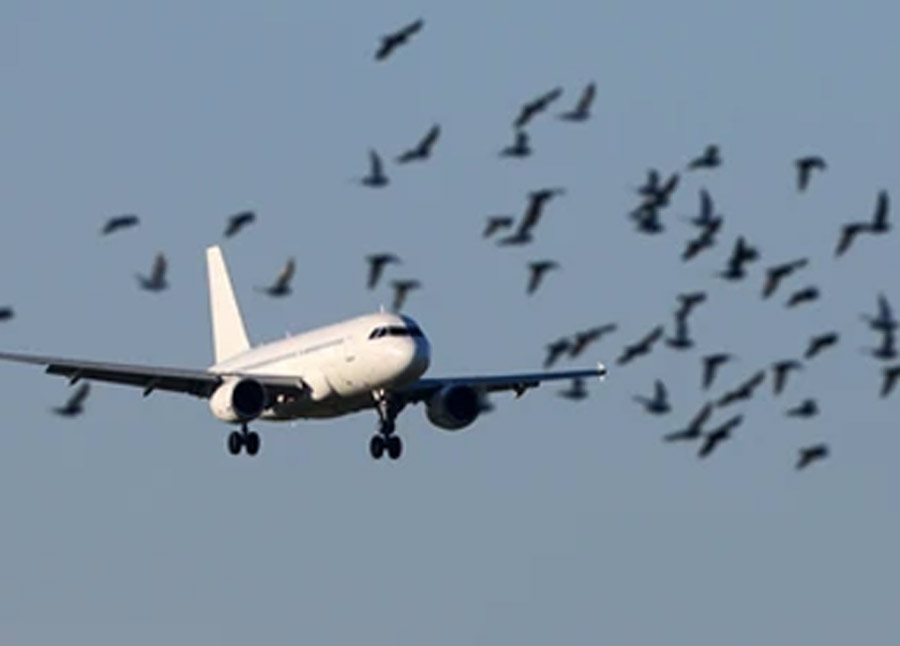 Plane crash Ahmedabad