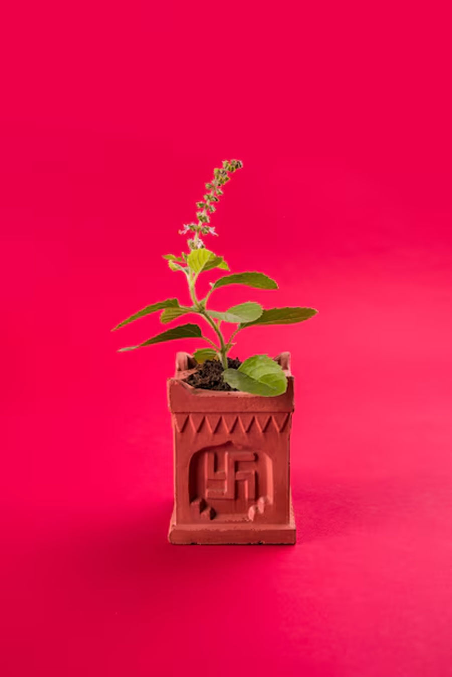 1 - 2025-06-20T104545.071