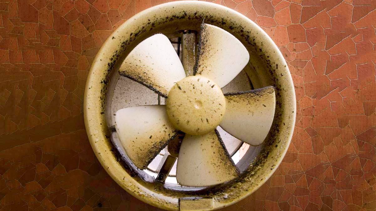 dirty exhaust fan cleaning name