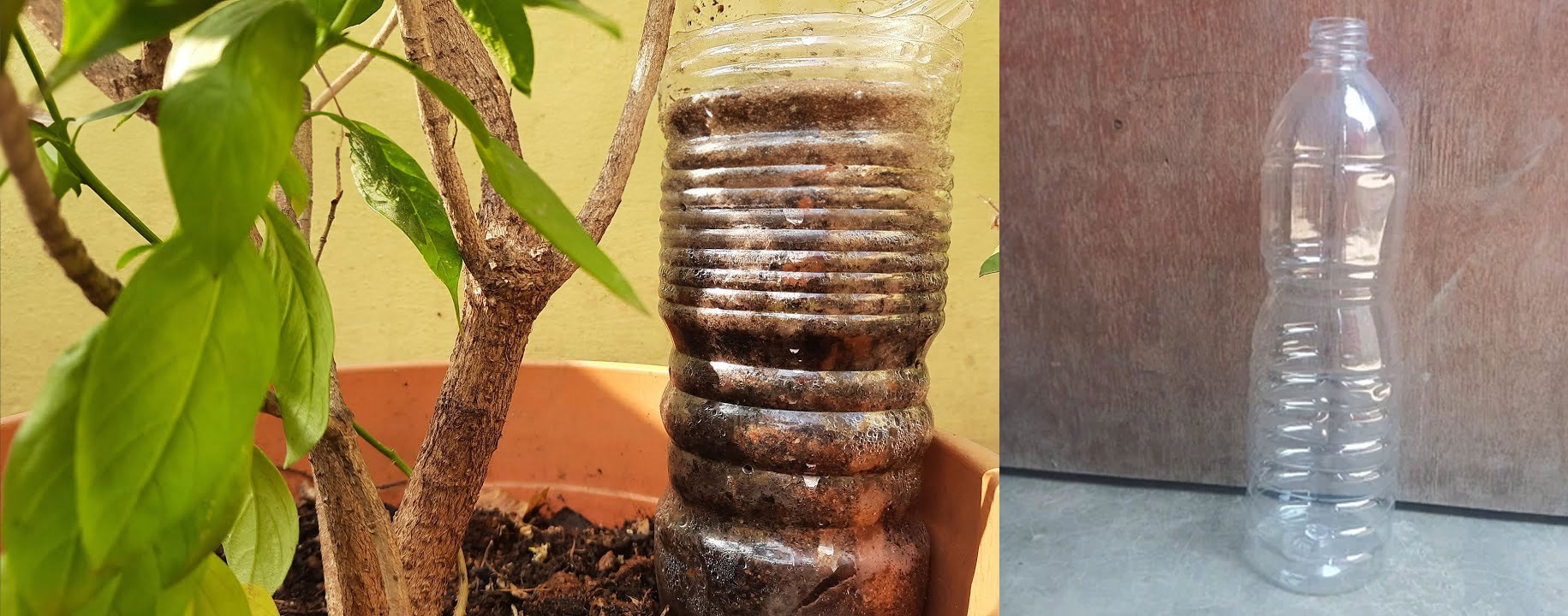 how to compost in plastic bottle