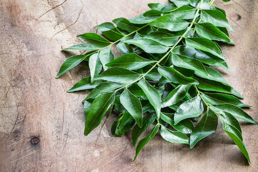 what is the best way to eat curry leaves