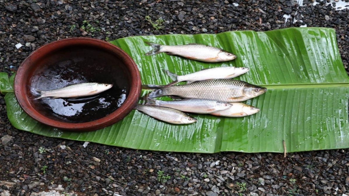 bhagwan jagannath ko kyu chadhate hain machhli