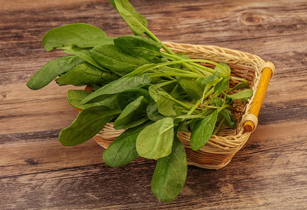 How to keep spinach fresh longer without a fridge