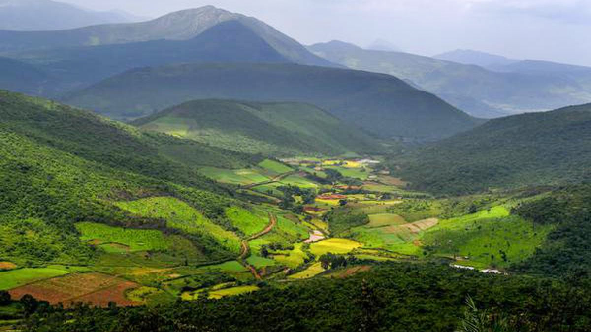 deomali hill which district