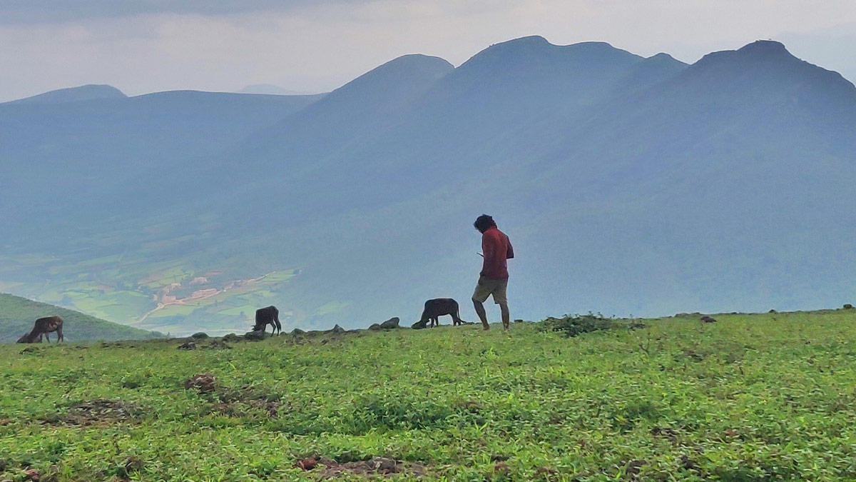 odisha hidden places