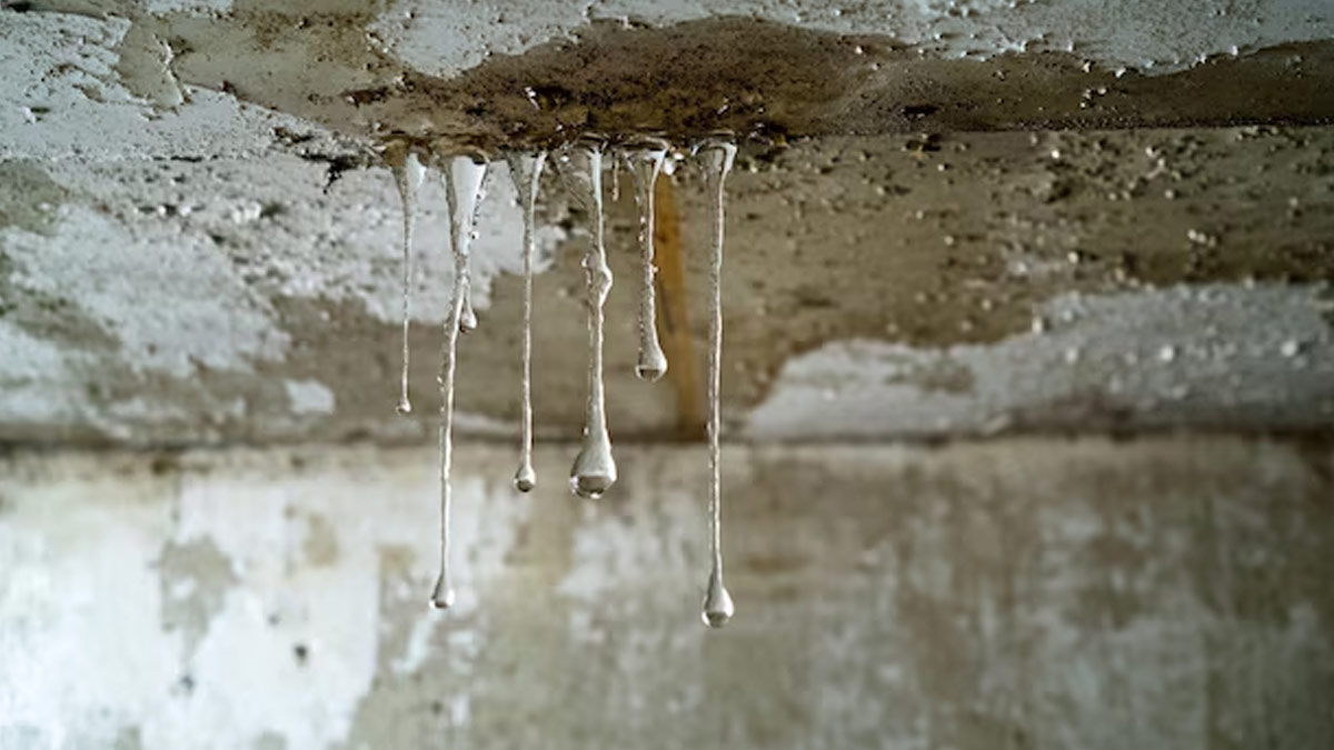 seelan se kaise bachaye