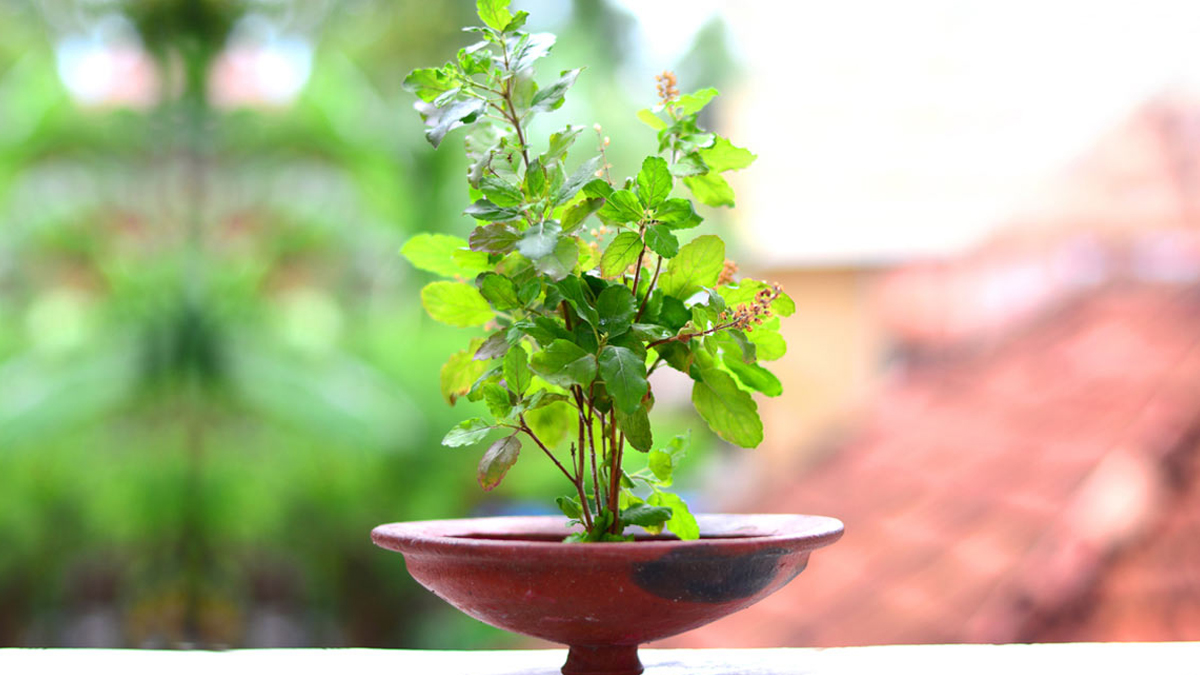 gupt navratri ke upay