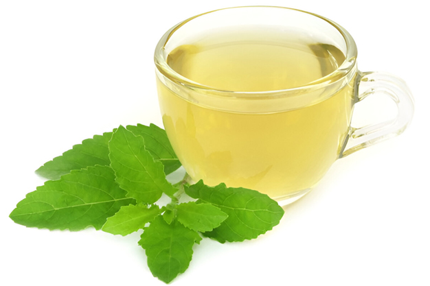 benefits of drinking tulsi water daily