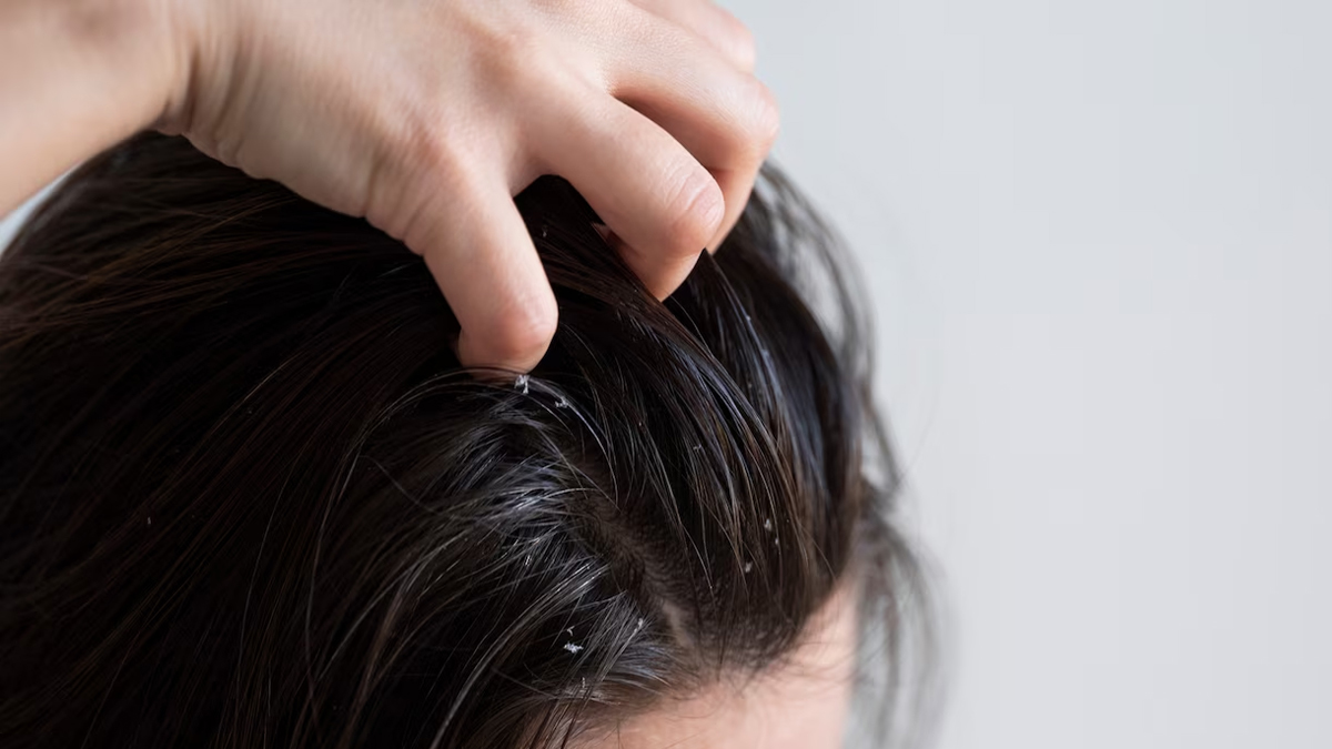 1 - 2025-07-04T135226.609