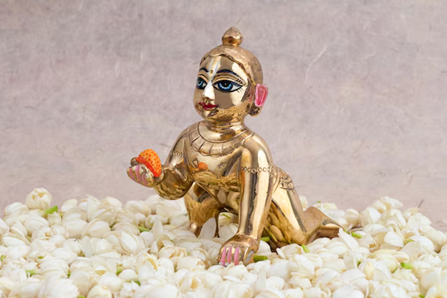 laddu gopal seva niyam kya hain