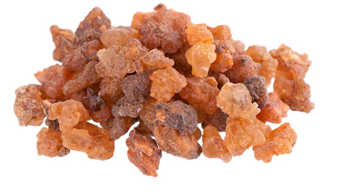 Gond Katira recipes Indian cuisine