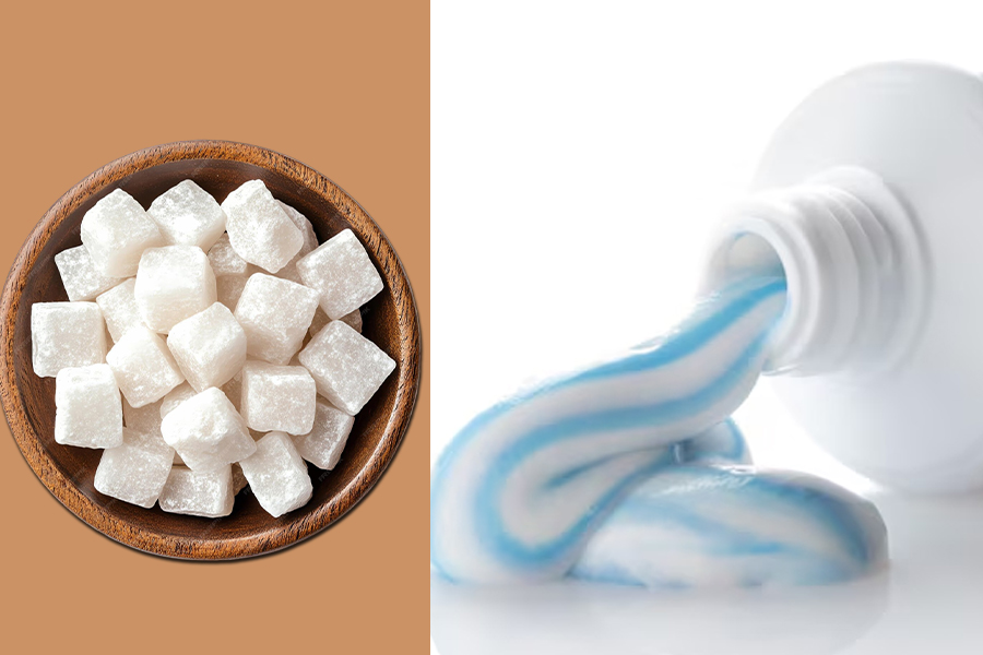 camphot tothpaste for remove insects