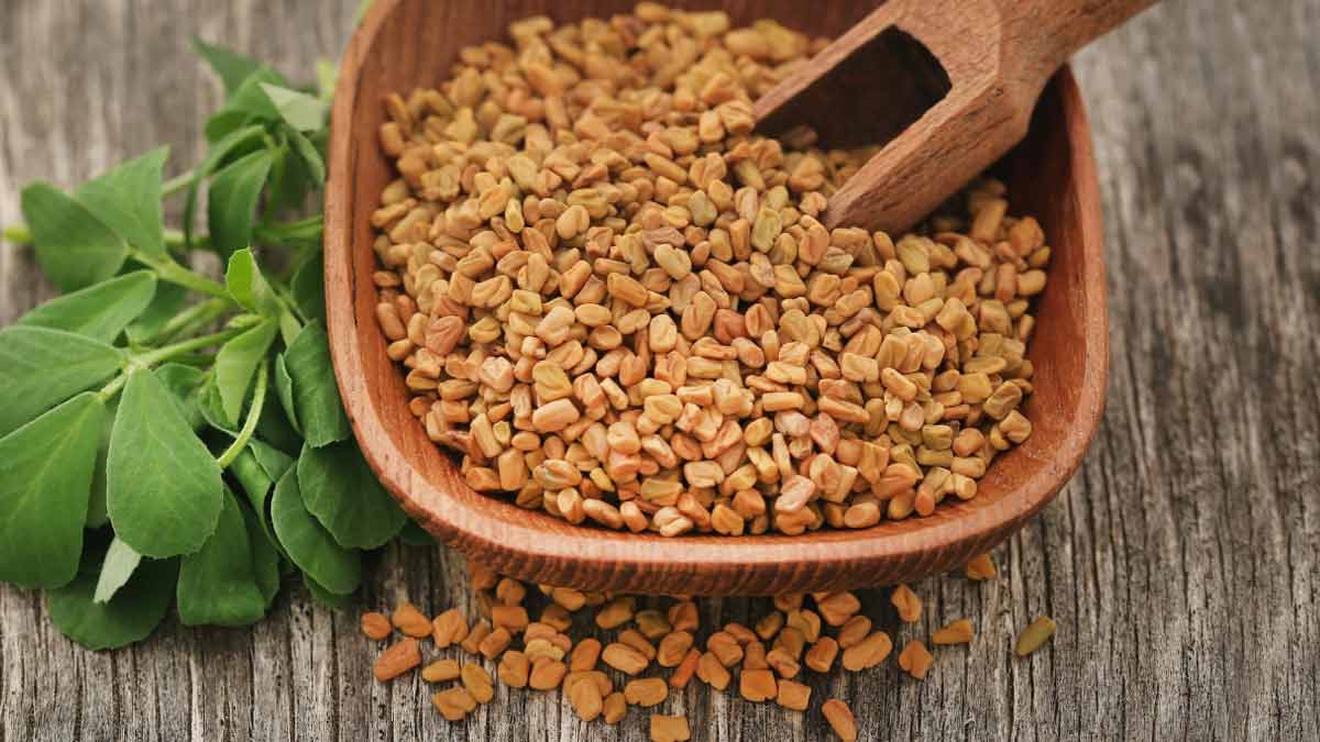 fenugreek seeds