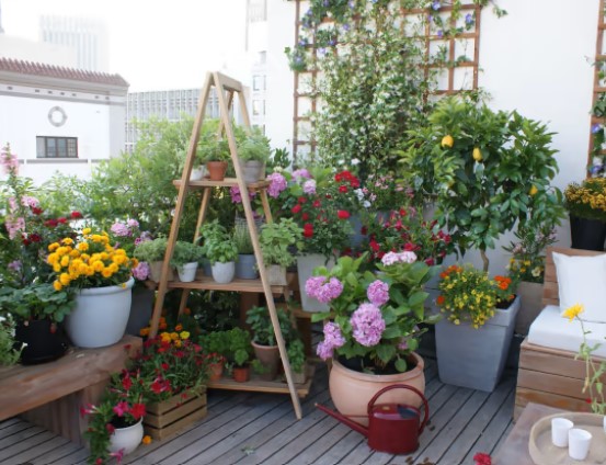 Homemade fertilizer for plant growth