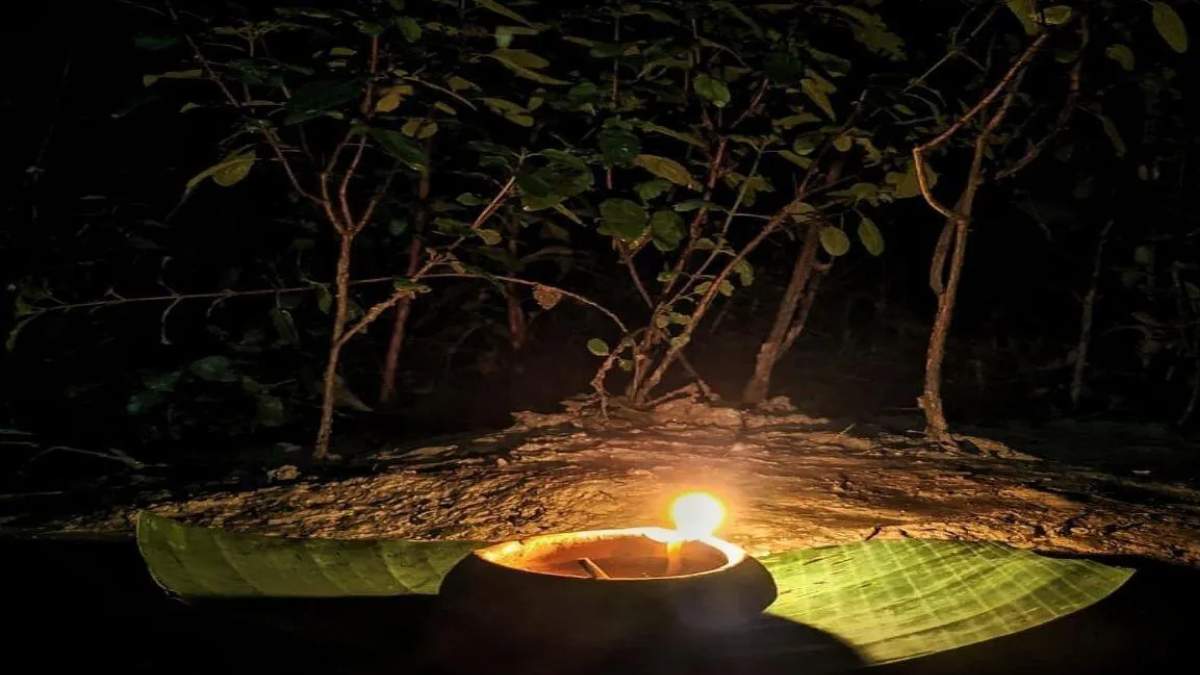 Tulsi Puja in chaturmas benefits