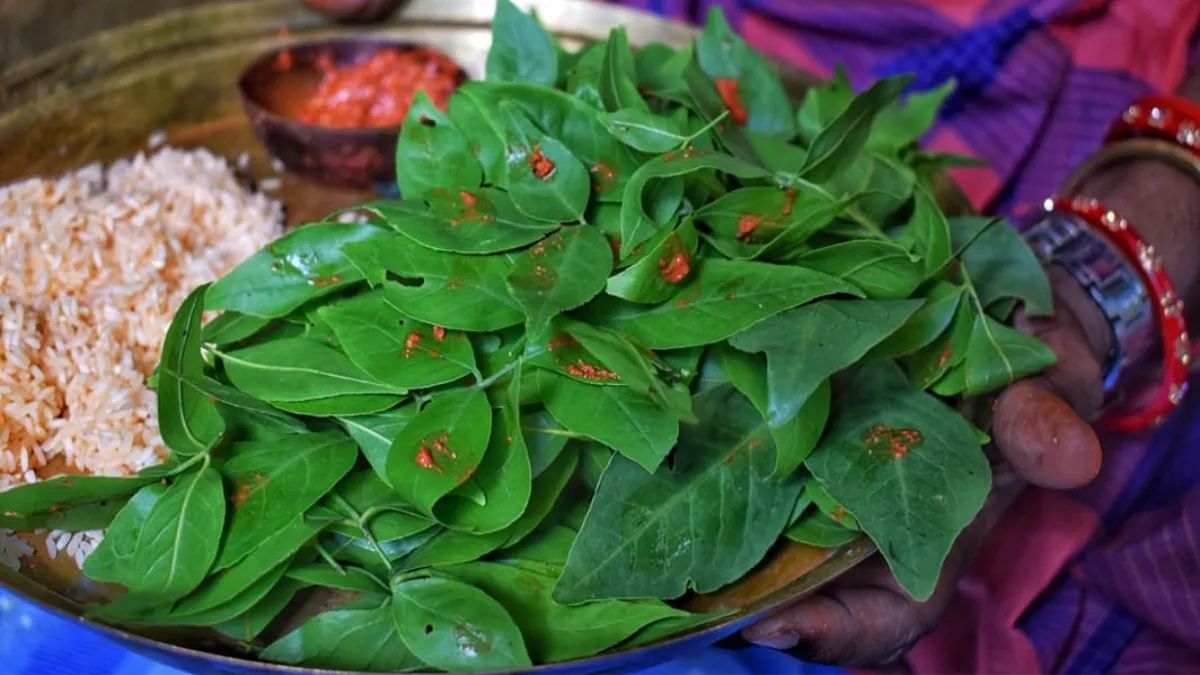 sawan mein shivling pr belpatra kaise chadhate hain