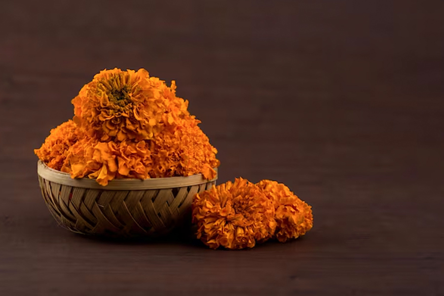 Vastu tips for mandir