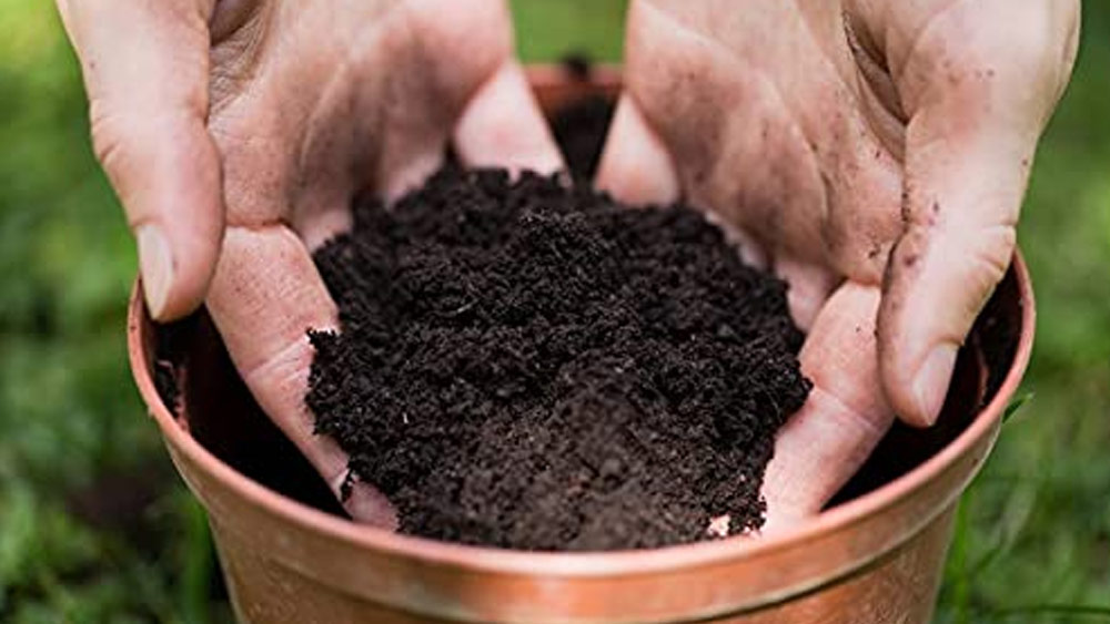 Which soil is best for jade plants